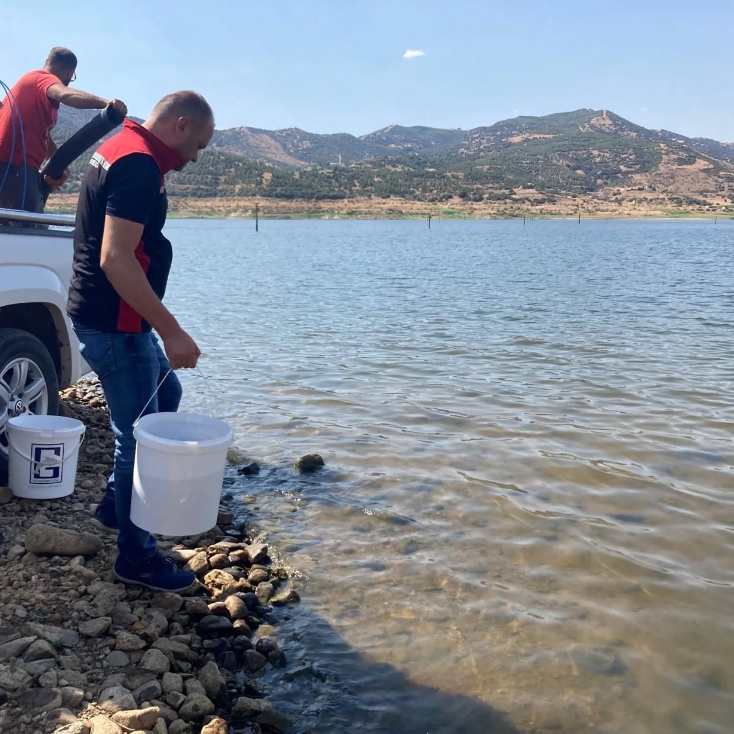 beydag-barajina-475-bin-adet-sazan-baligi-birakildi-2 Beydağ Baraj Göletine 475 Bin Sazan Balığı Bırakıldı