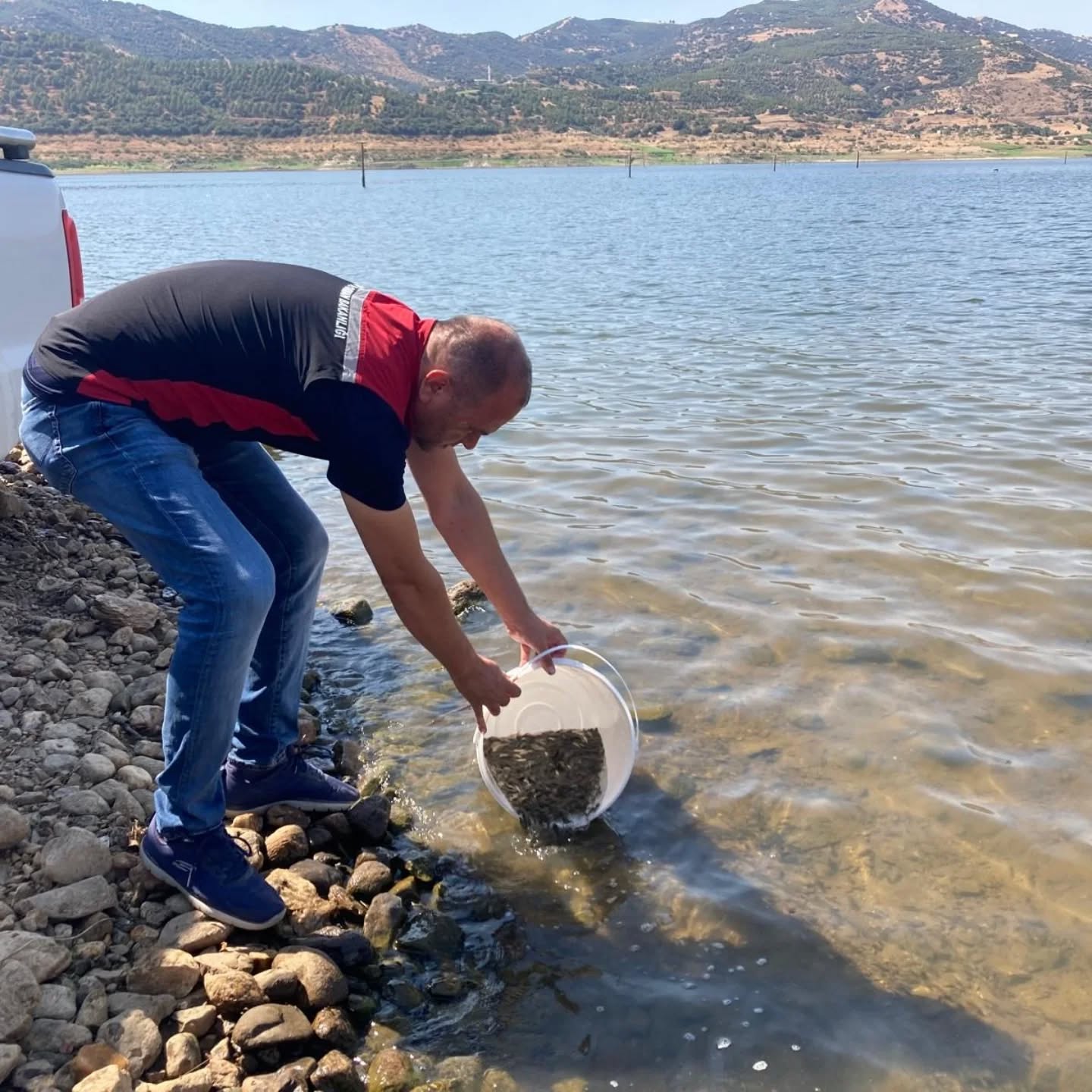 beydag-barajina-475-bin-adet-sazan-baligi-birakildi-3 Beydağ Baraj Göletine 475 Bin Sazan Balığı Bırakıldı