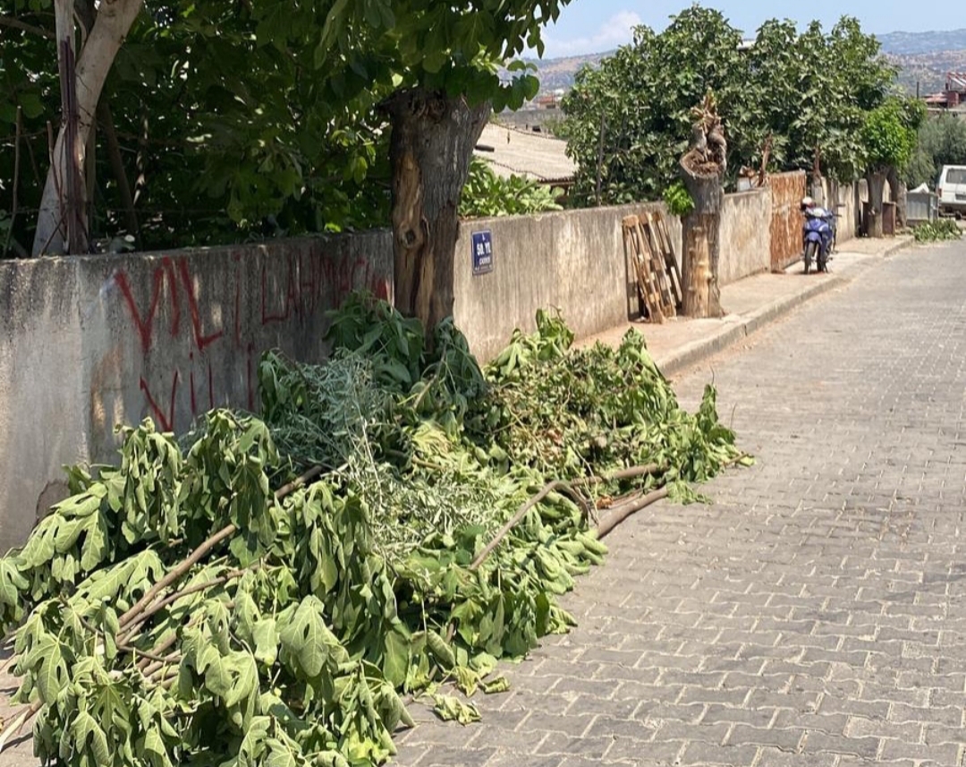 beydag-belediyesinin-4-11-agustos-2025-tarihleri-arasinda-yaptigi-calismalar-3 Beydağ Belediyesi'nin Geçtiğimiz Hafta Yaptığı Çalışmalar