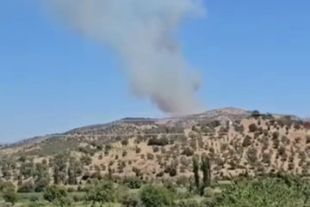 beydagin-bakirkoy-mahallesinde-cikan-orman-yangini-devam-ediyor Beydağ'ın Bakırköy Mahallesi'nde Orman Yangını Çıktı
