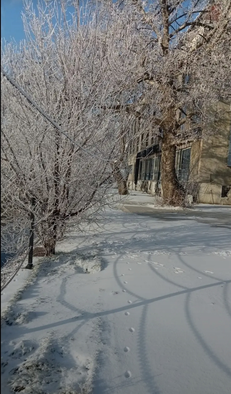 odemis-golcuk-tenkar-manzaralari-3 Ödemiş Gölcük'ten Masal Tadında Kar Manzaraları