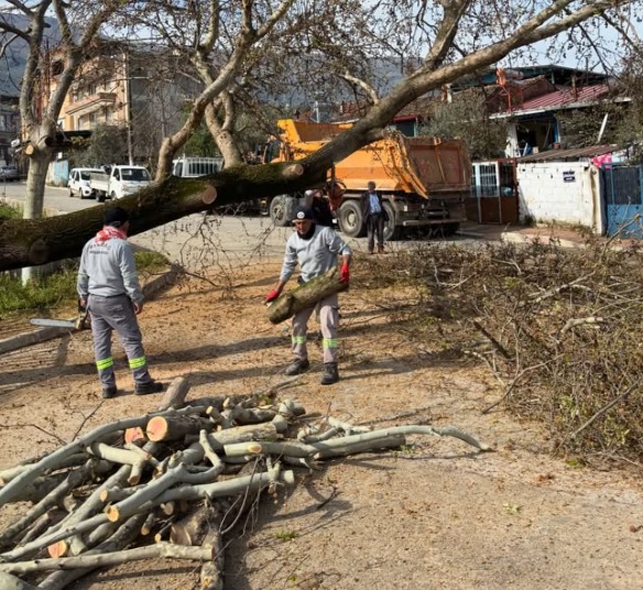 beydag-belediyesi-nden-2-haftalik-calisma-raporu-3 Beydağ Belediyesi’nden İki Haftalık Çalışma Raporu
