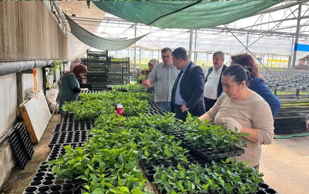 izmir-il-tarim-ve-orman-muduru-kahraman-akdogan-bademli-de-incelemelerde-bulundu-1 İzmir İl Tarım ve Orman Müdürü Kahraman Akdoğan Bademli'de İncelemelerde Bulundu