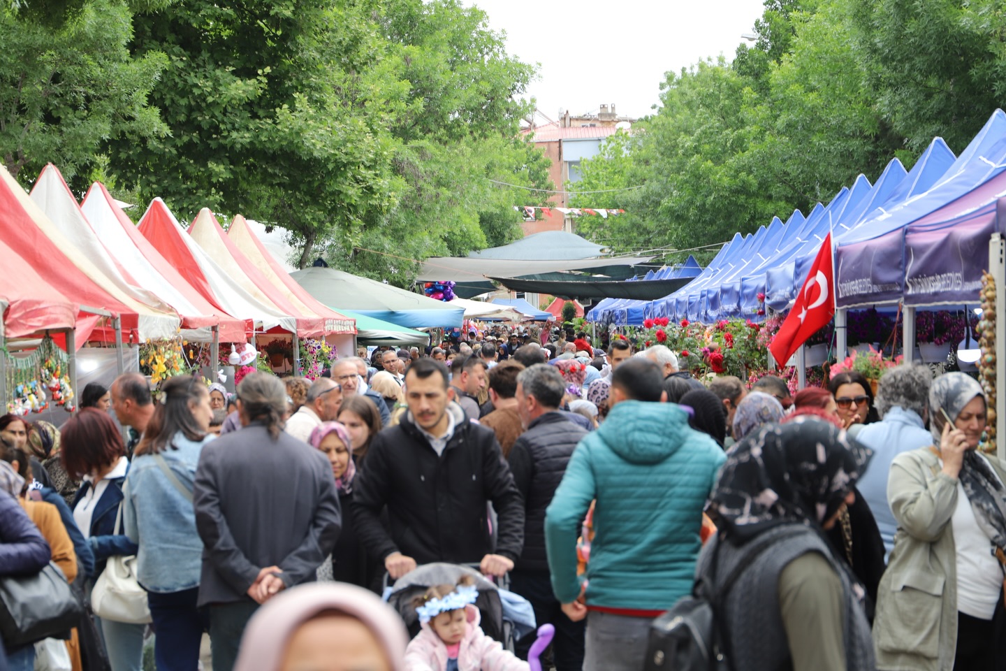 27-uluslararasi-bayindir-cicek-festivali-devam-ediyor-1 27. Uluslararası Bayındır Çiçek Festivali'nden Rengarenk Görüntüler