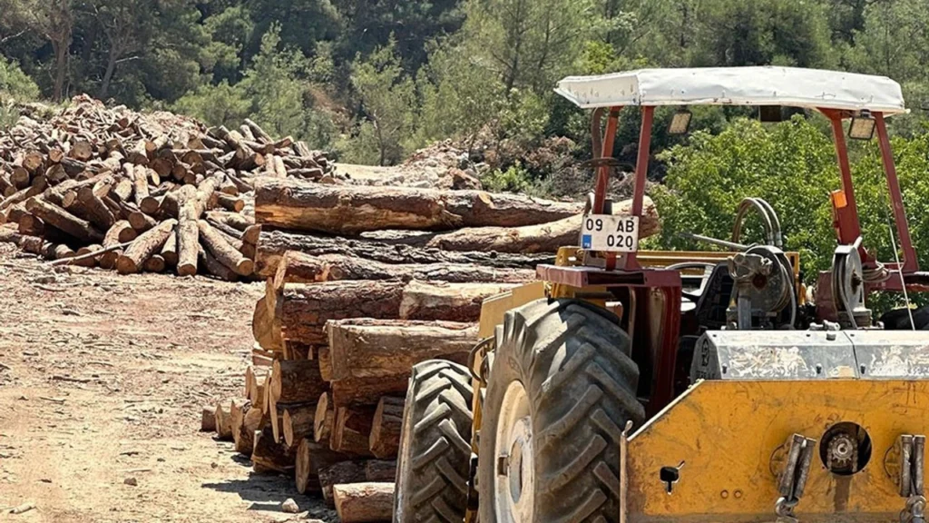 Kartal Dağı’nda RES Projesi İçin Binlerce Ağaç Kesilecek