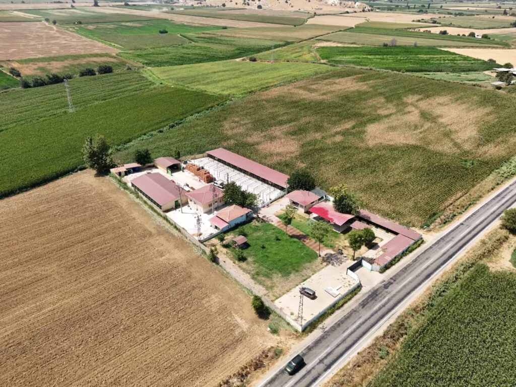 Tire’deki Hayvan Bakımevi’nde Kapasite Artırılıyor