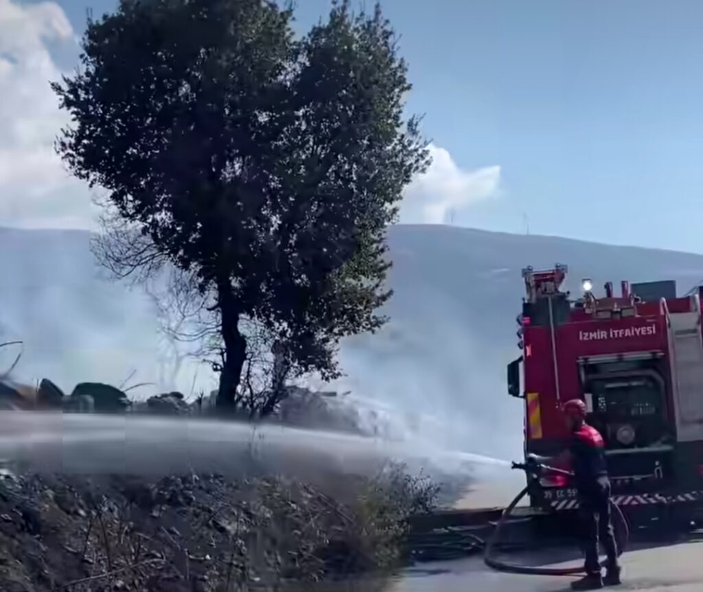Tire’de Zeytinlik Alanda Çıkan Yangın Korkuttu