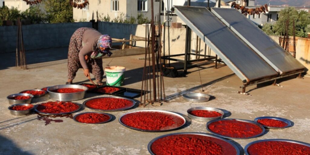 Torbalı’da Salça Sezonu: Güneşte Olgunlaşan Domatesler Kavanozlara Giriyor