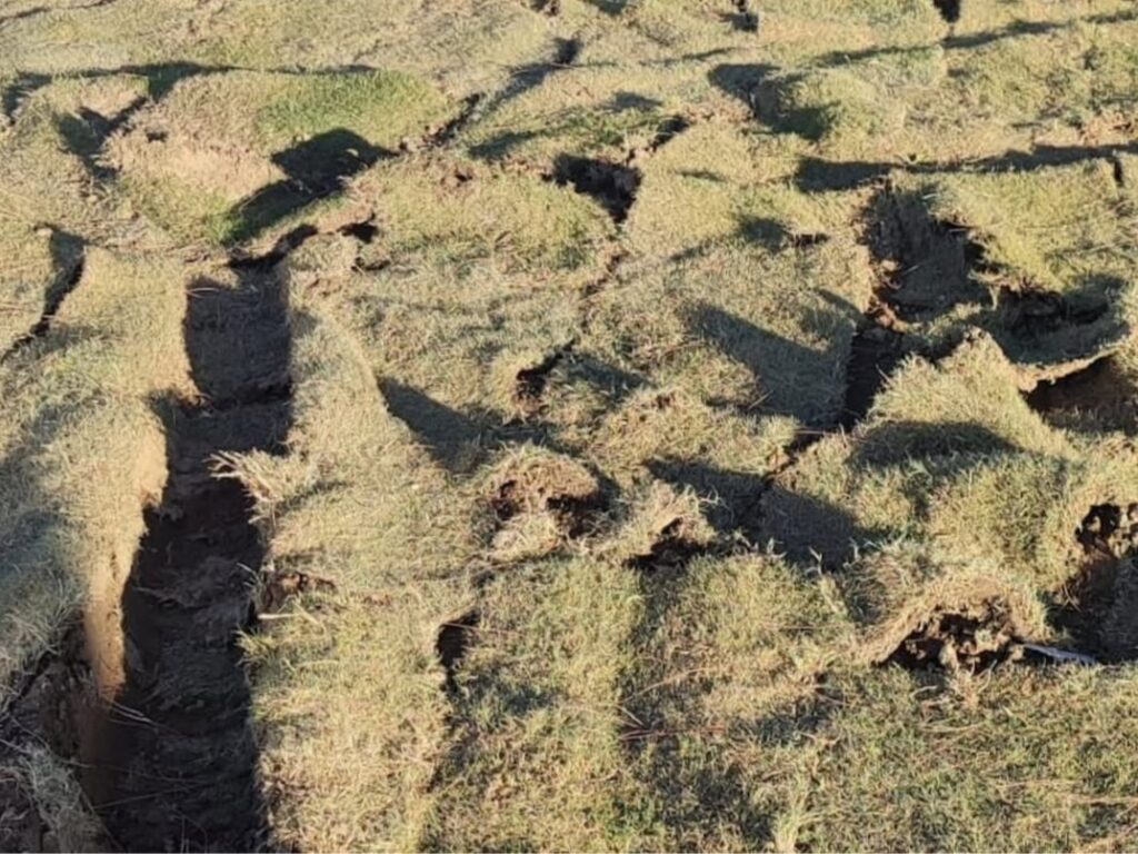 Torbalı’da Kimliği Belirsiz Kişilerce Parklara Zarar Verildi