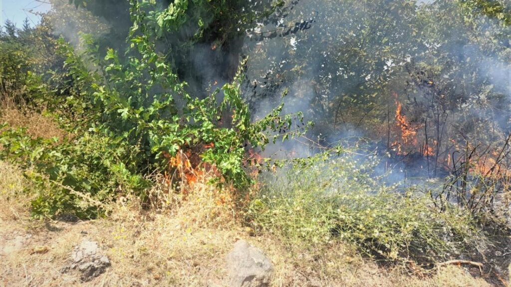 Beydağ’ın Çiftlik Mahallesi’nde Orman Yangını