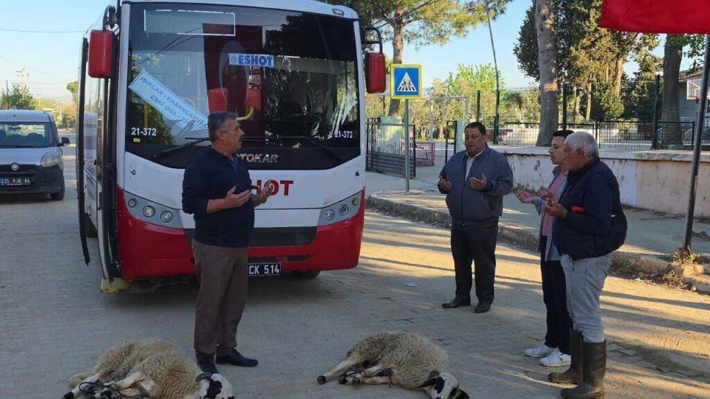 Yeni otobüs hatları için kutlama: Köylüler kurban kesti