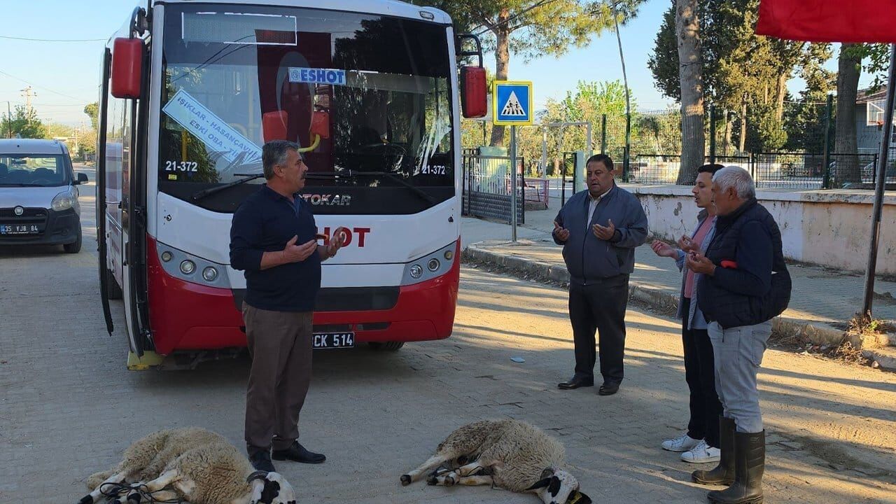 Yeni otobüs hatları için kutlama: Köylüler kurban kesti