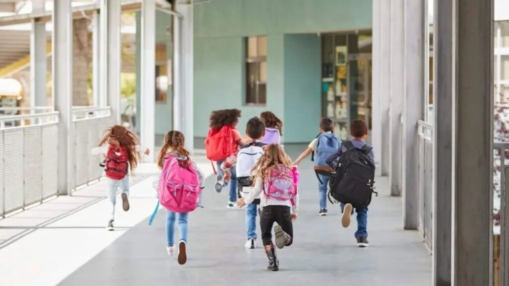 28 Ve 29 Ekim'de Okullar ile Kamu Kurumlarının Çalışma Düzeni Netleşti