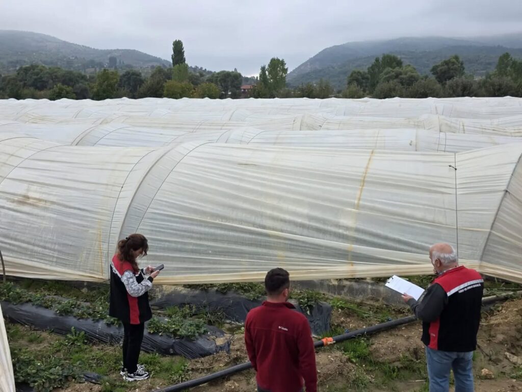 Beydağ Tarım Müdürlüğünden Kapalı Ortam Üretim Kontrolleri