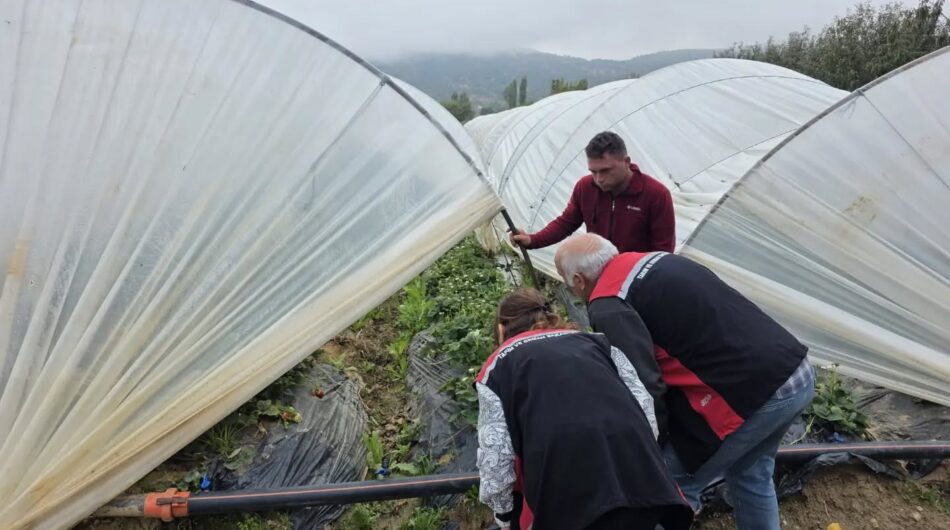 Beydağ Tarım Müdürlüğünden Kapalı Ortam Üretim Kontrolleri
