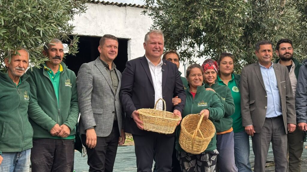 Urla Zeytin ve Sanat Festivali Başlıyor
