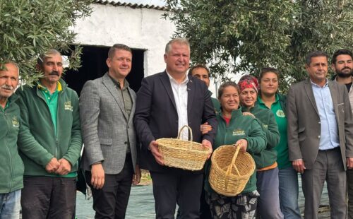 Urla Zeytin ve Sanat Festivali Başlıyor