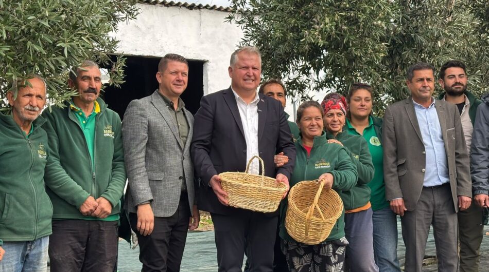 Urla Zeytin ve Sanat Festivali Başlıyor